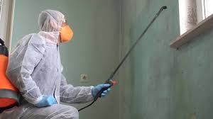 Best Asbestos and Lead Testing During Mold Inspection  in Rio Dell, CA